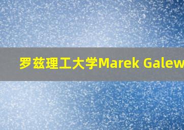 罗兹理工大学Marek Galewski